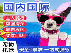 西双版纳嘎洒航空货运国际宠物托运 【国